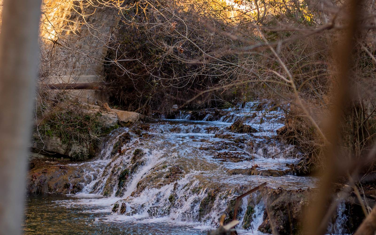 IMG_2147