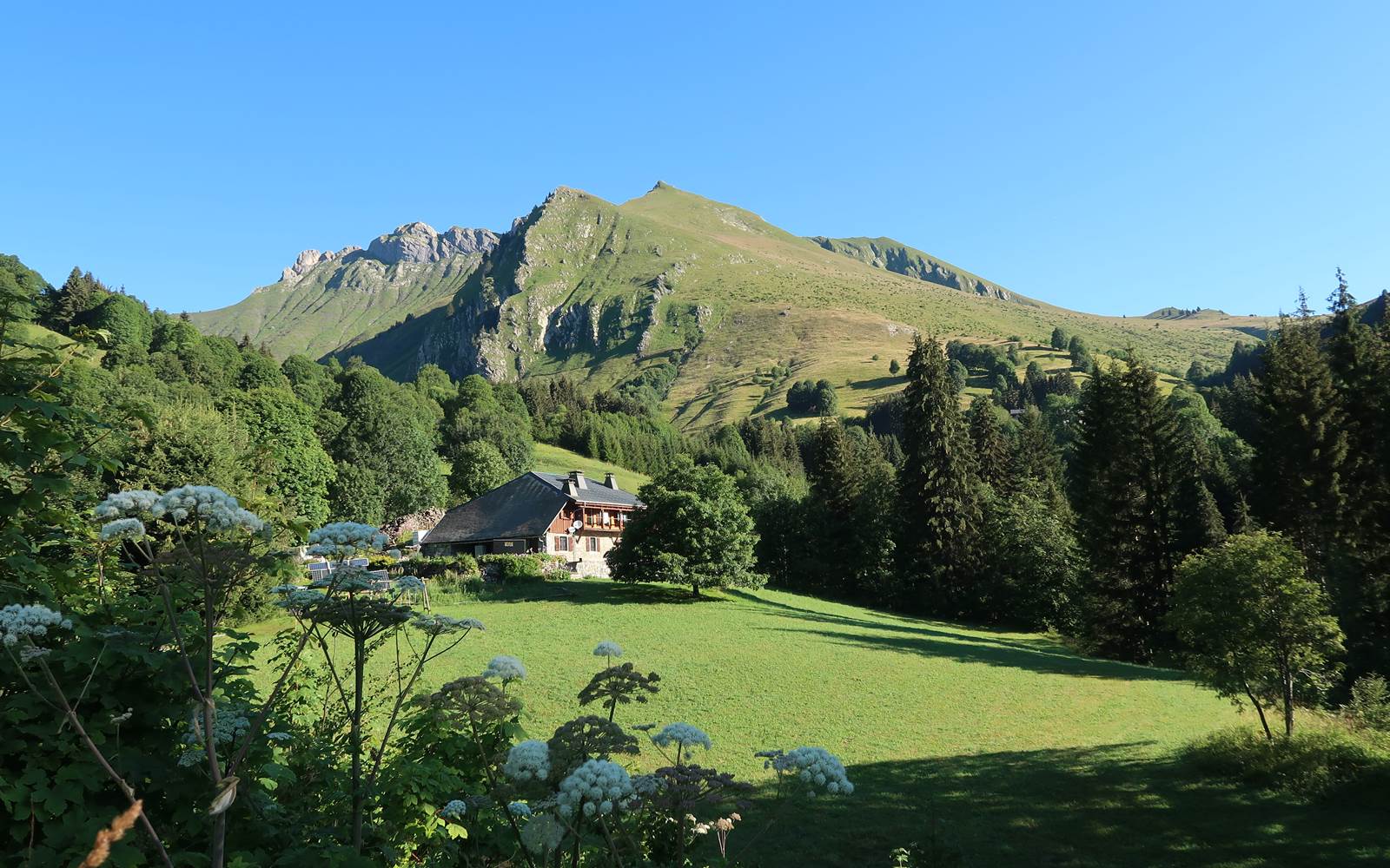 Vue panoramique du chalet d'alpage de Beauregard entouré de sapins et montagnes du Chablais à Taninges.
