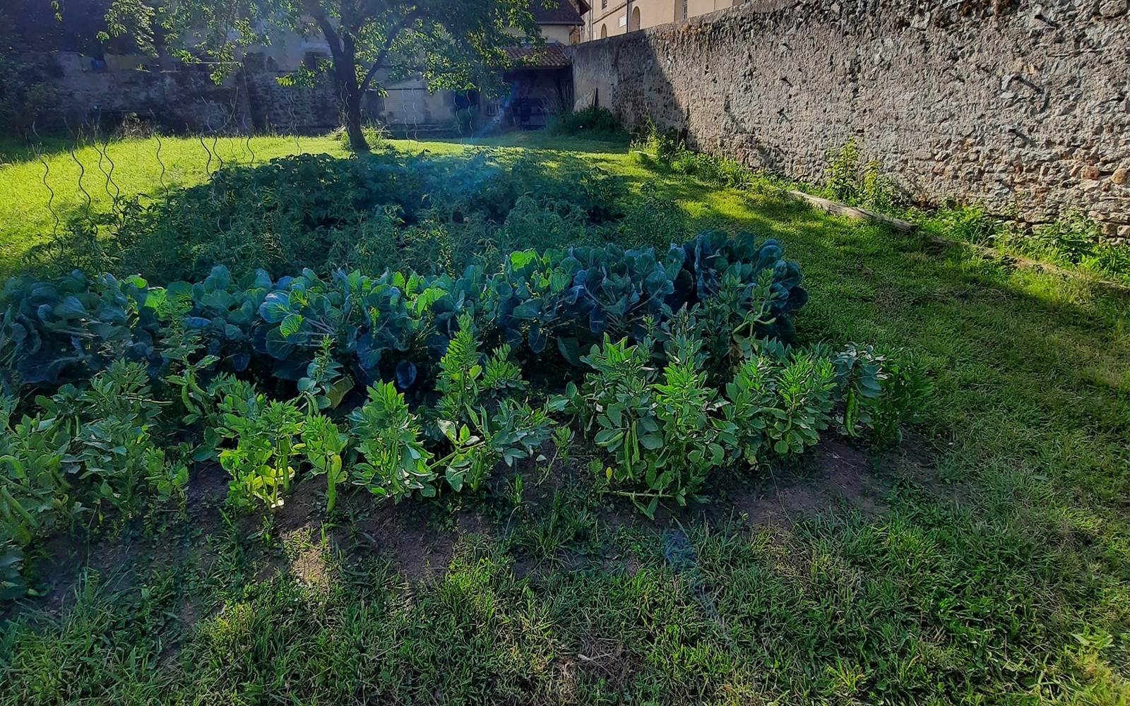 Le potager