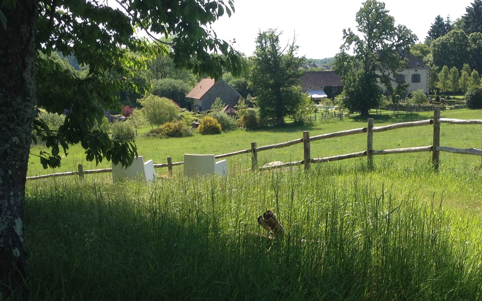 vue depuis le petit bois du Domaine de Louveraude