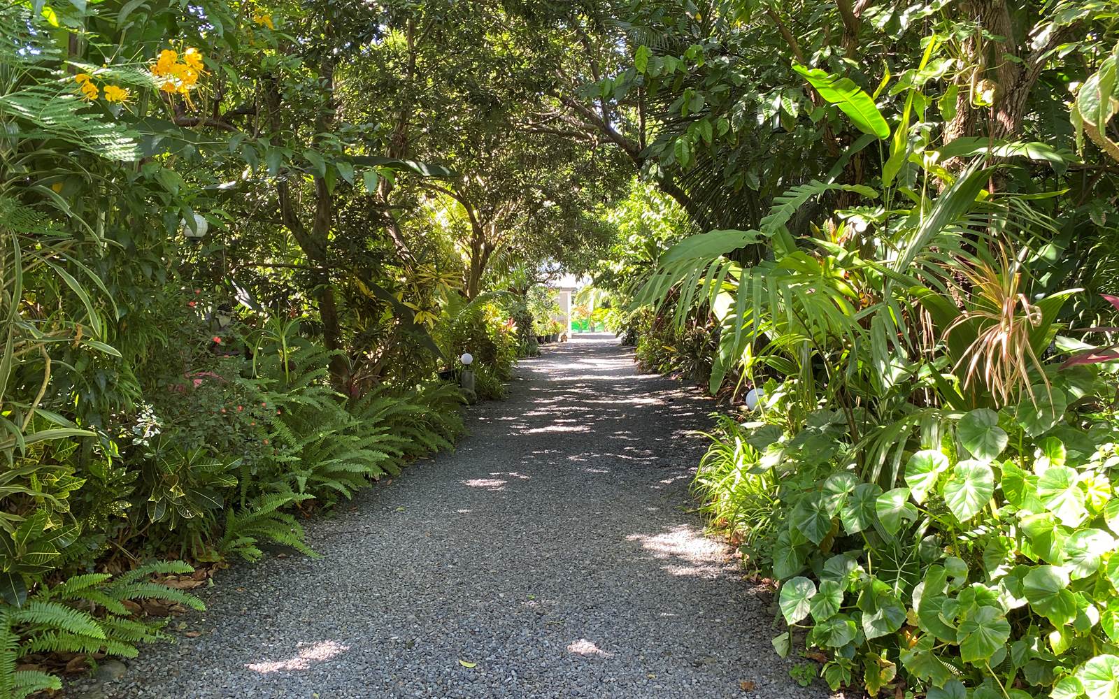 Allée du jardin