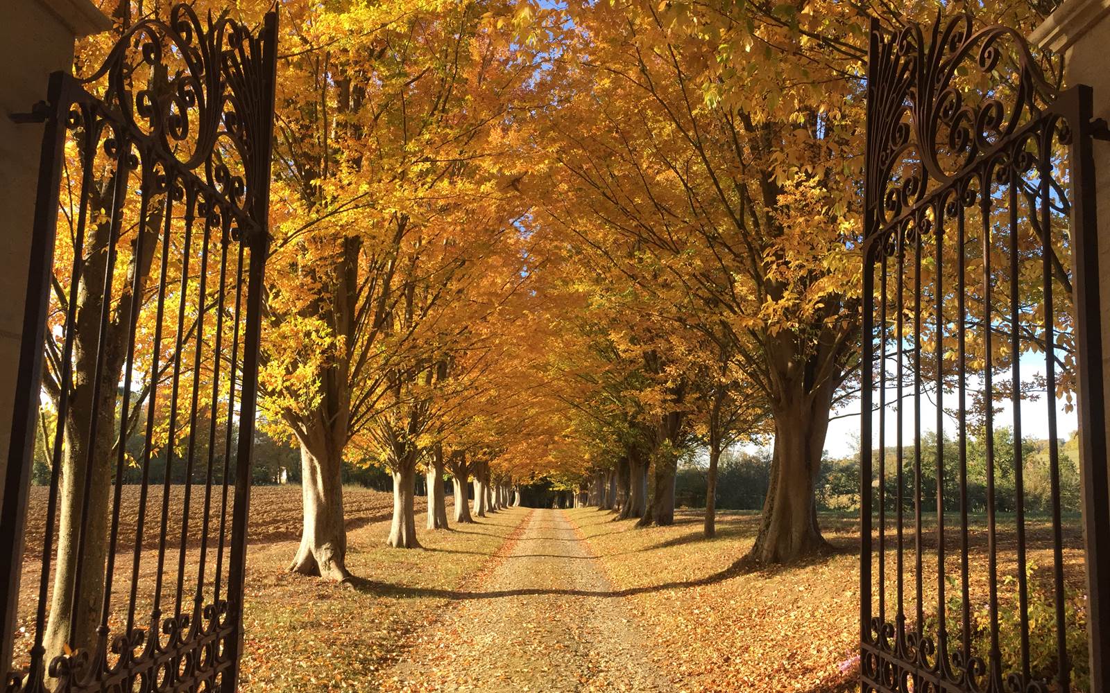 Maison d'hote Gascony en automne patrimoine et architecture du Gers