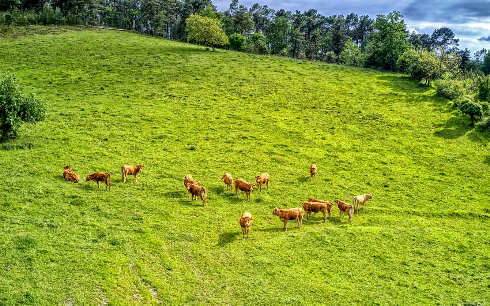 hébergements situés dans un écrin de verdure à la campagne