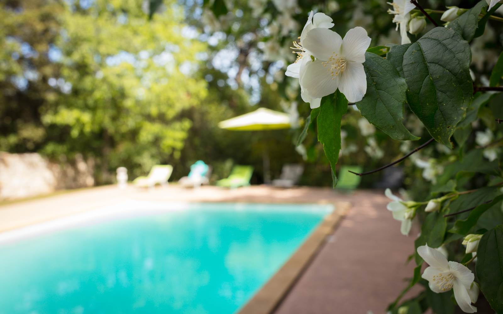 Mas des Sages chambres d'hôtes avec piscine