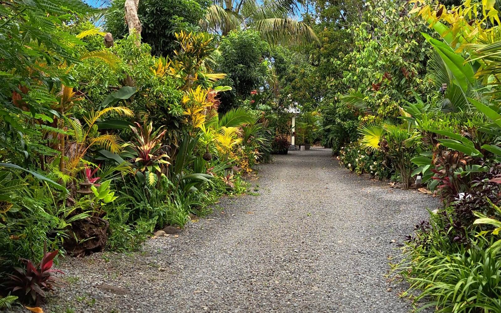 Entrée du jardin