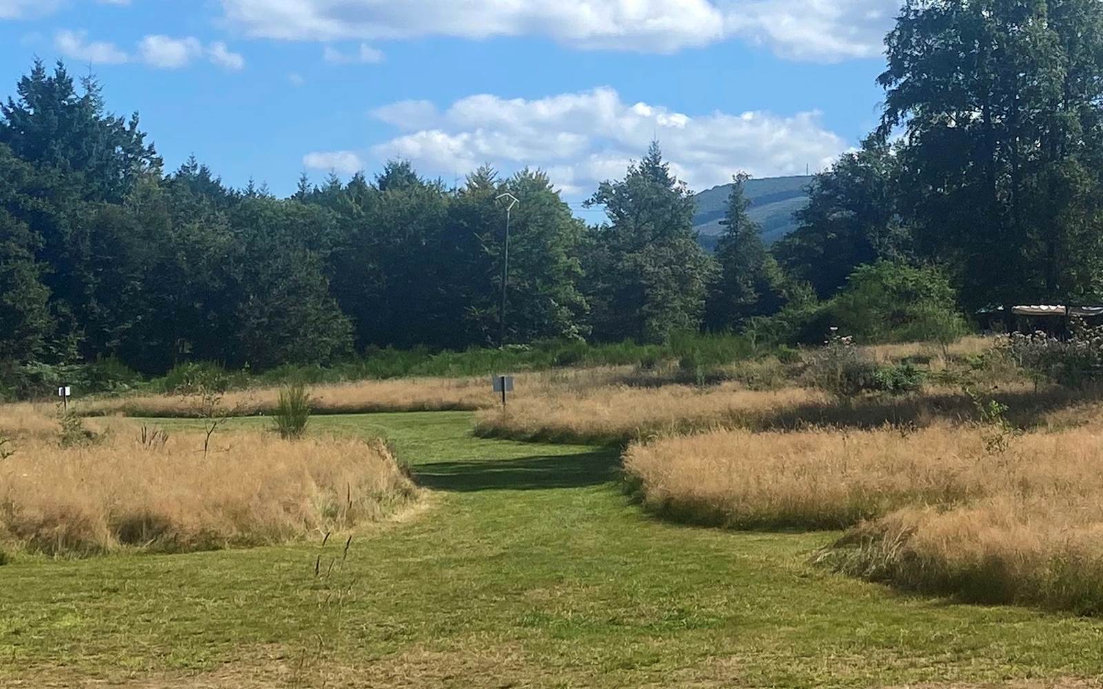 Le Ranch Camping - Campsite