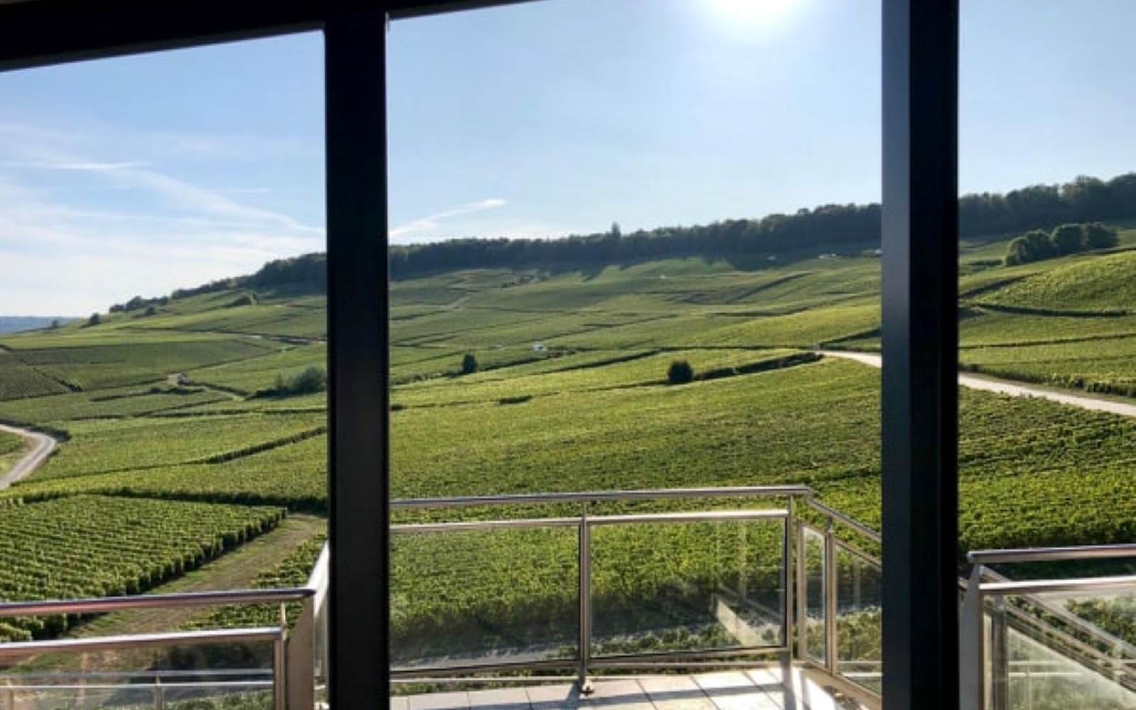 vue sur les vignes au champagne  ARNOULT
