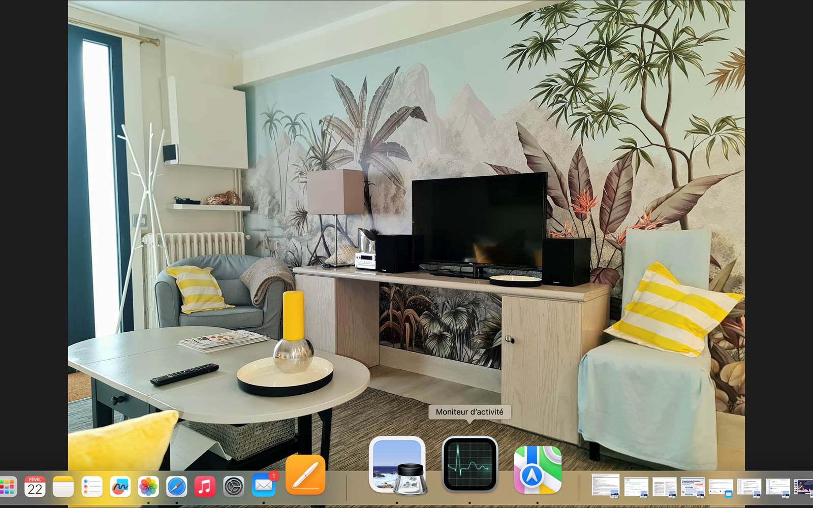 VILLA DU LAC VICHY - salon TV