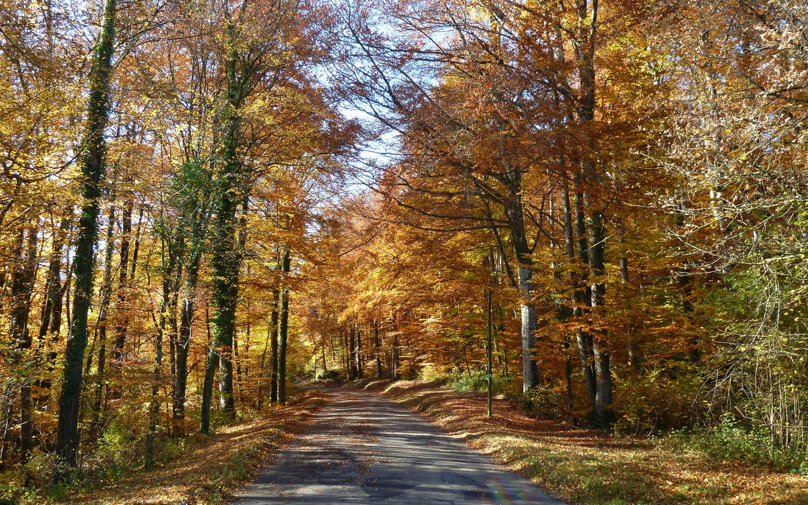 Le Relais des deux tours en automne décorée des ses couleurs flamboyantes