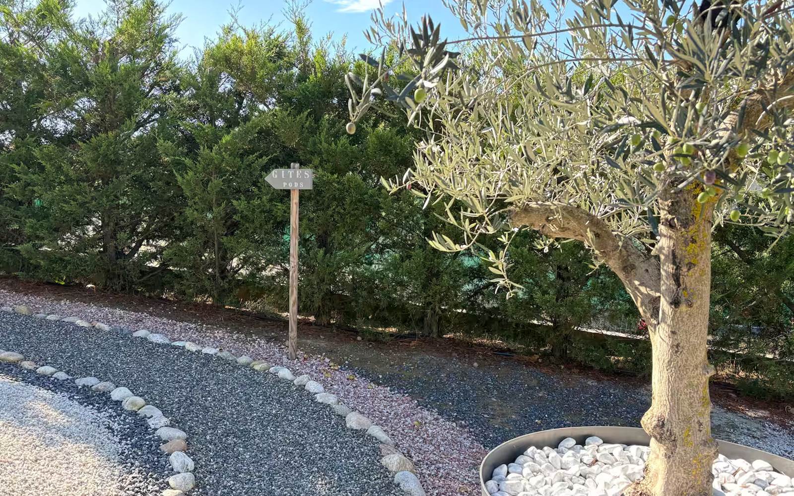 19a7429b-b058-424c-afdd-7f0c8d64059d