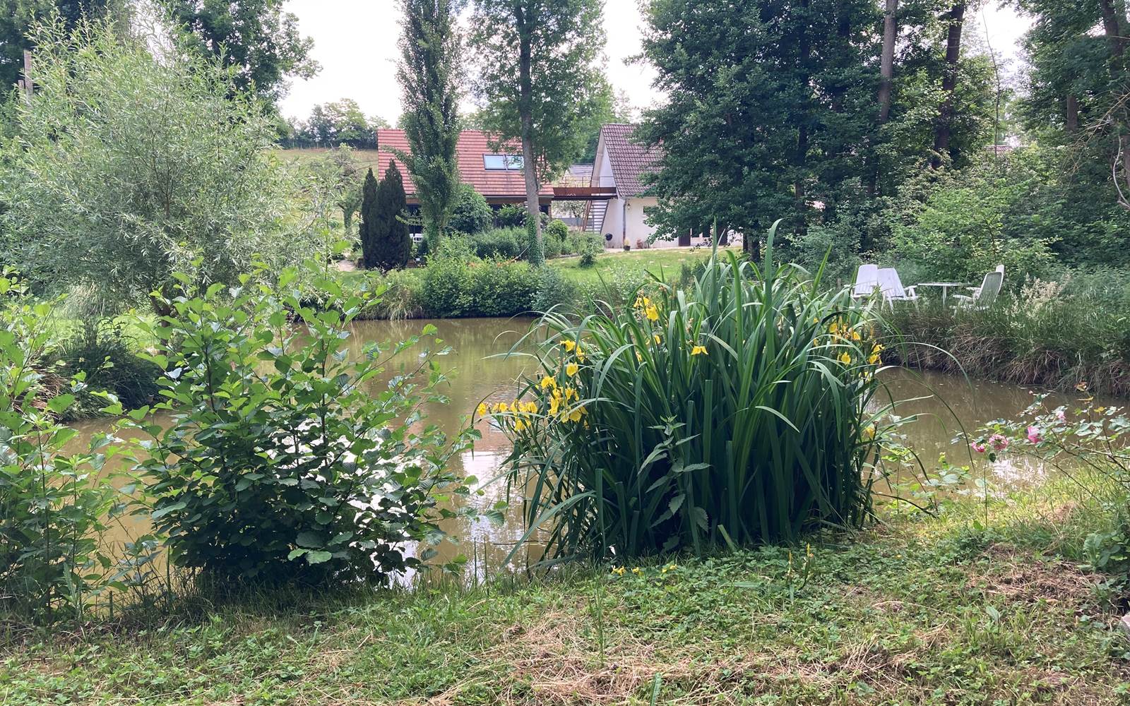 le grand bassin