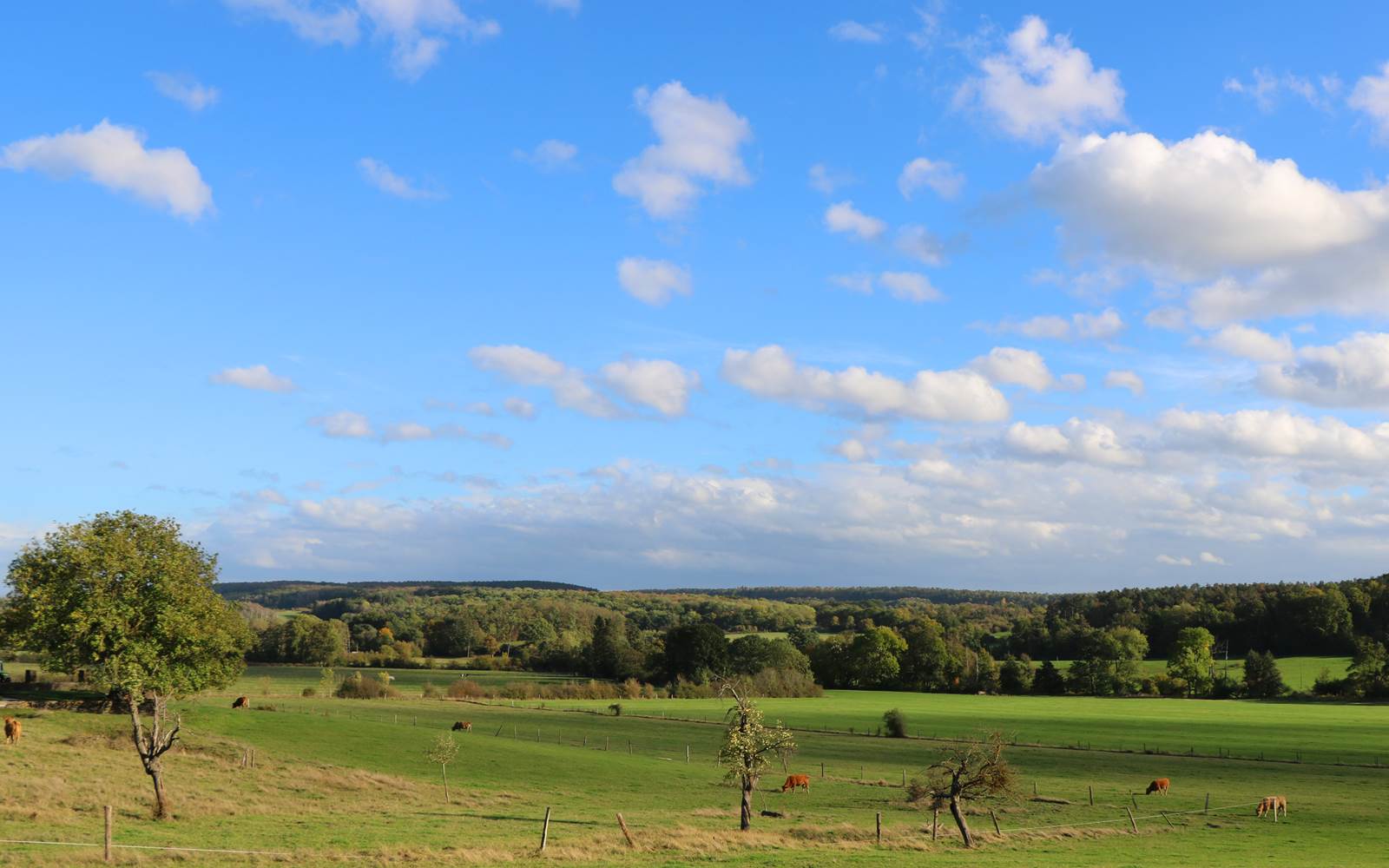 Paysage