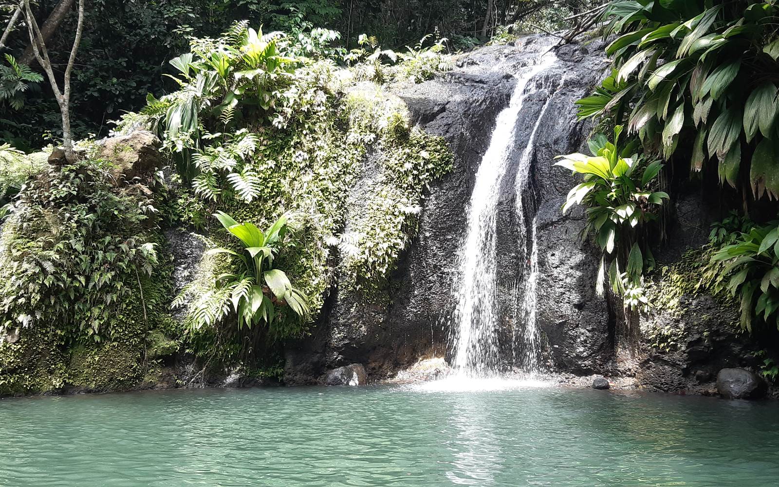 Cascade Bis