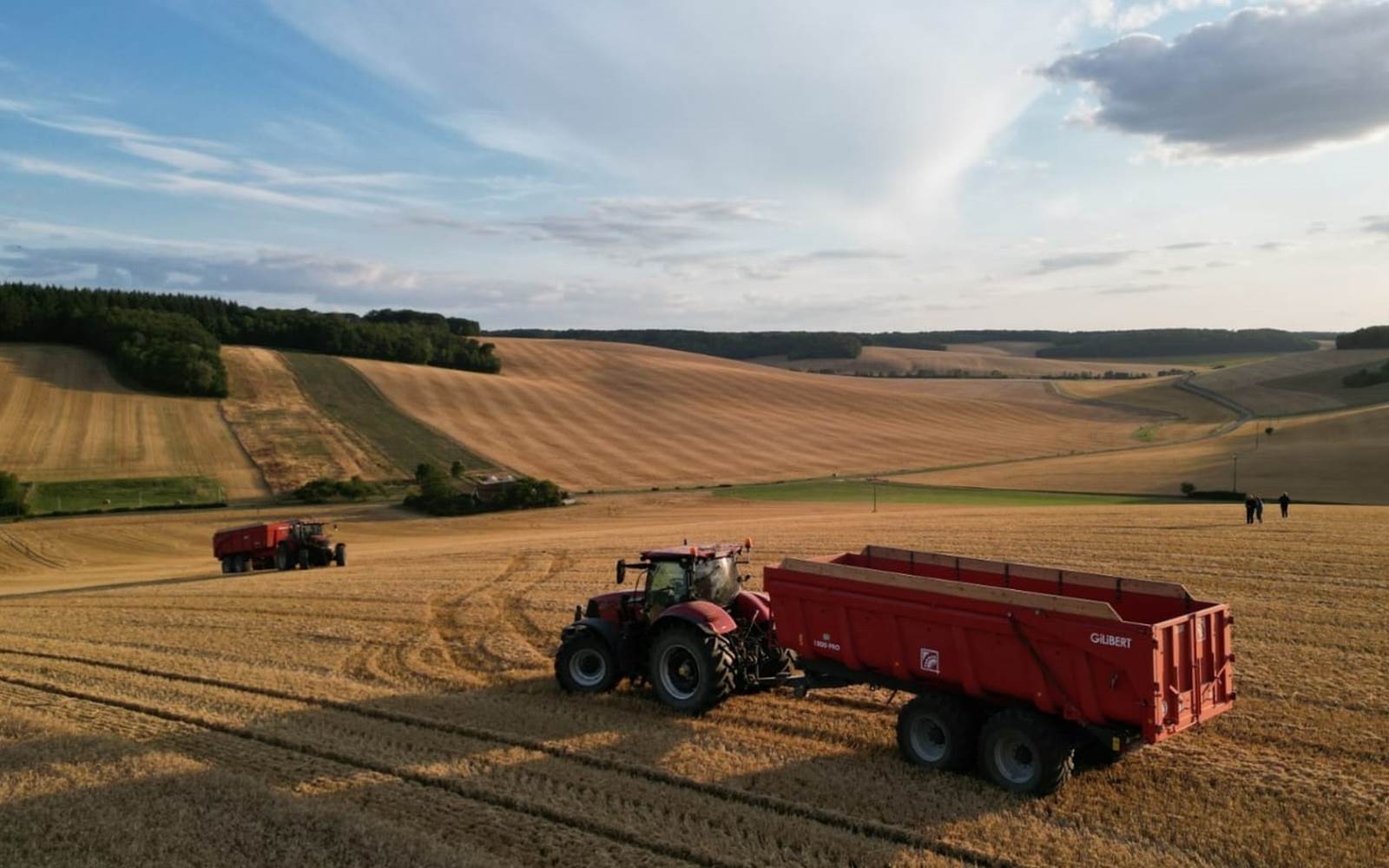 MOISSON PAYSAGE WEB