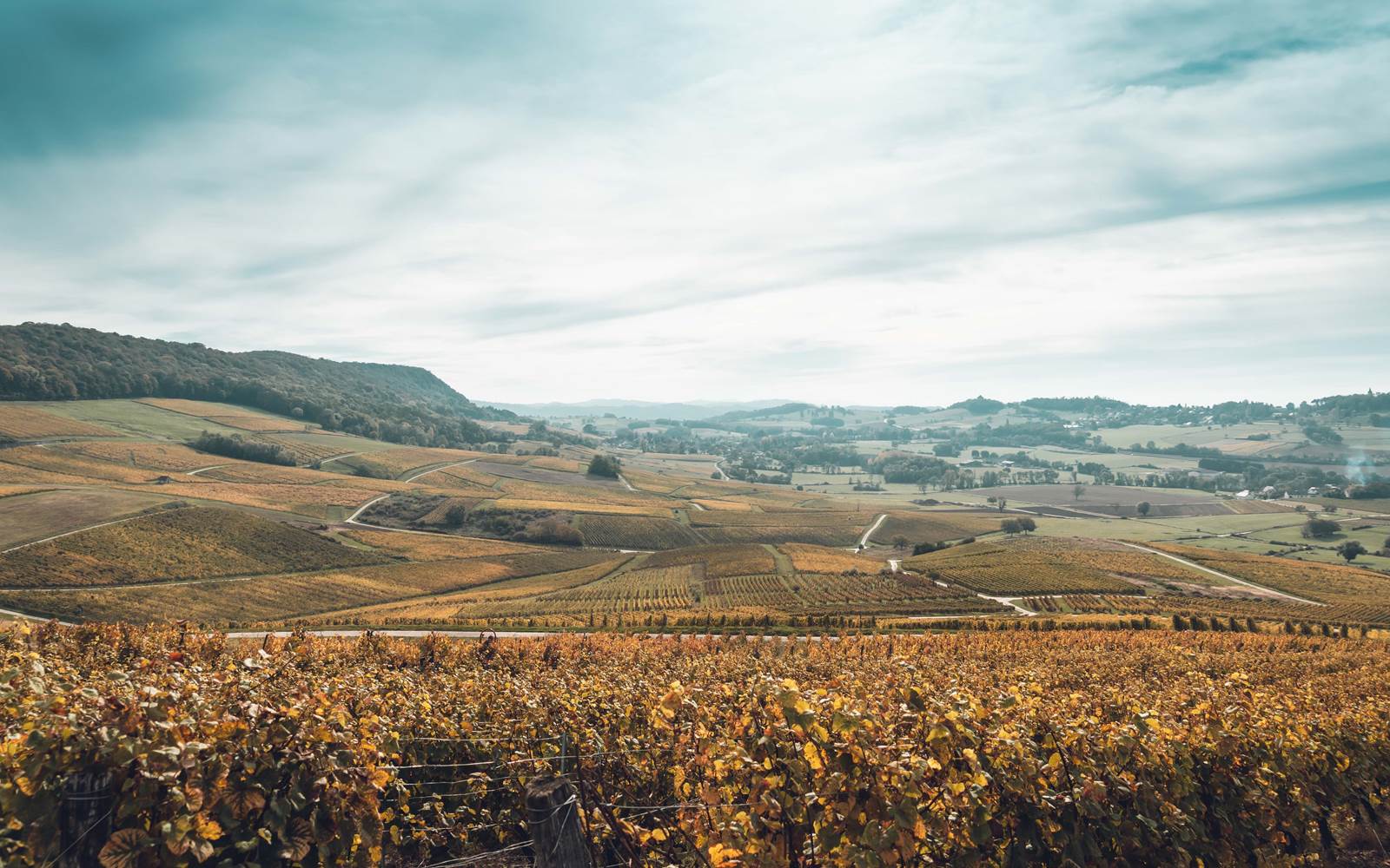 DOMAINE BAUD Génération 9 18 octobre 21 BD (61)