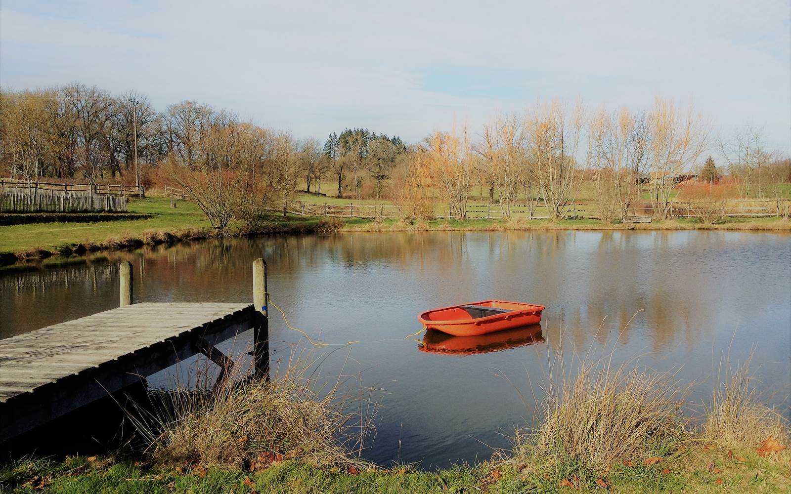Le petit étang de pêche du Domaine de Louveraude