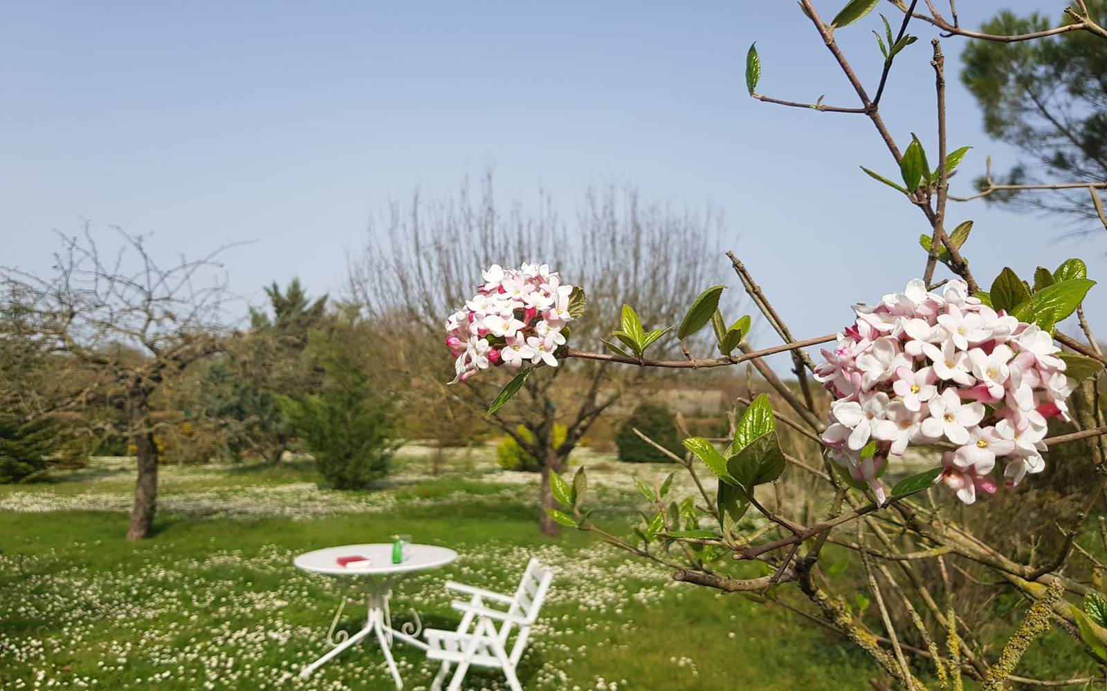 Domaine de Pelouaille - jardin