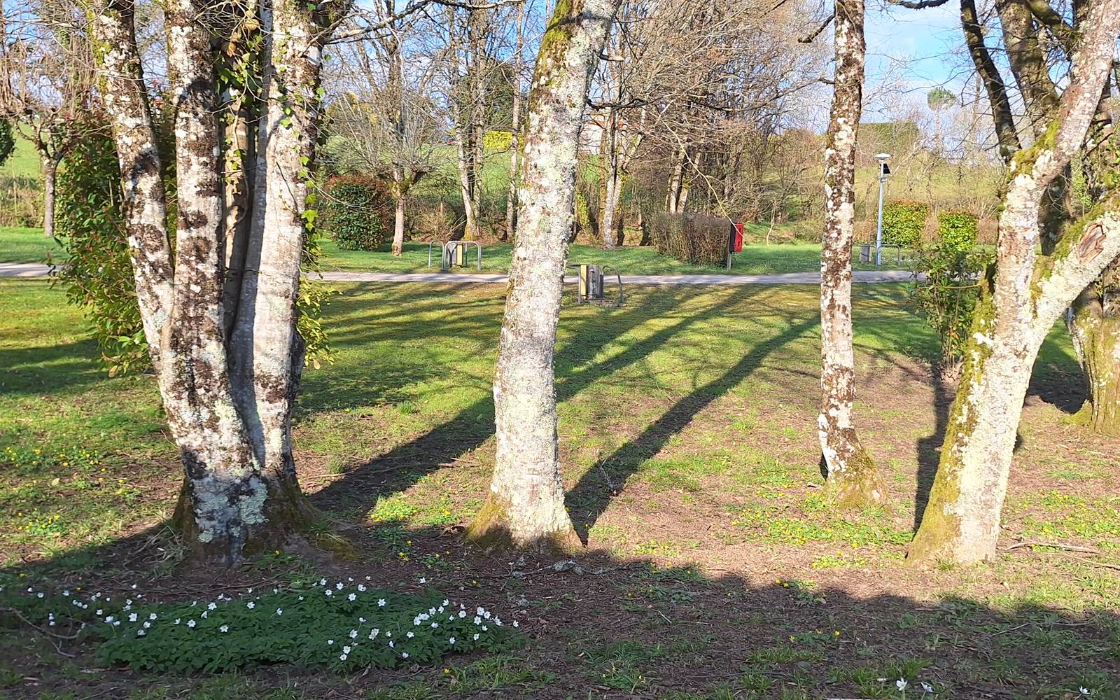lepetitbois46_Leyme_emplacements camping_printemps2025