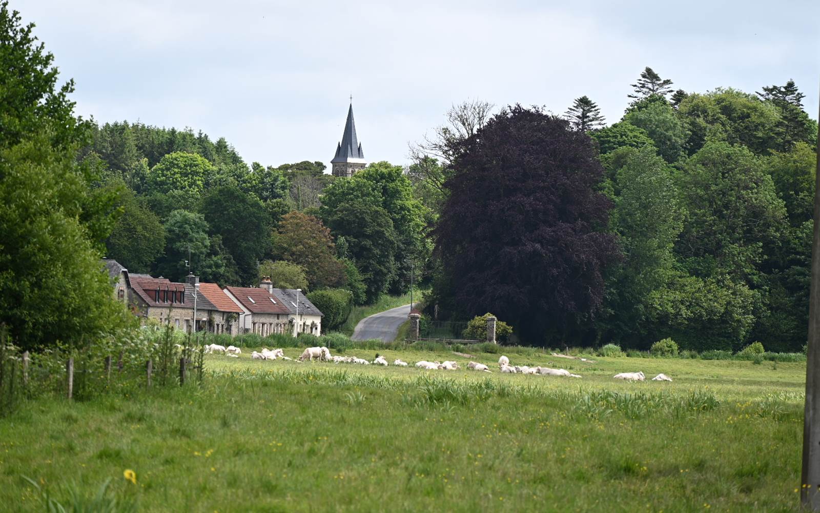 aufildeleau-cotentin-bnb-chambre-hote-le vast