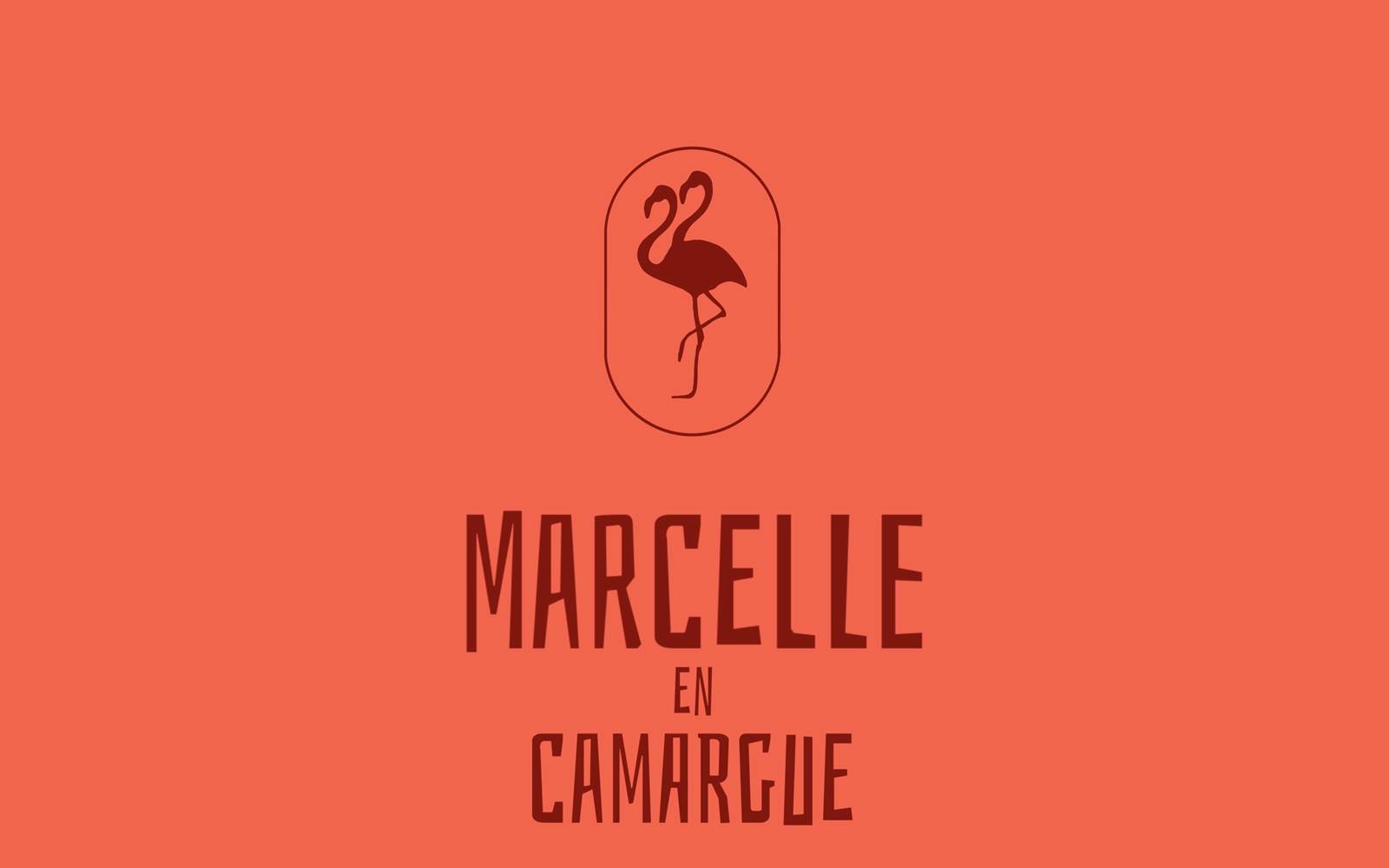 Marcelle en Camargue Maison d'hôtes au coeur des remparts