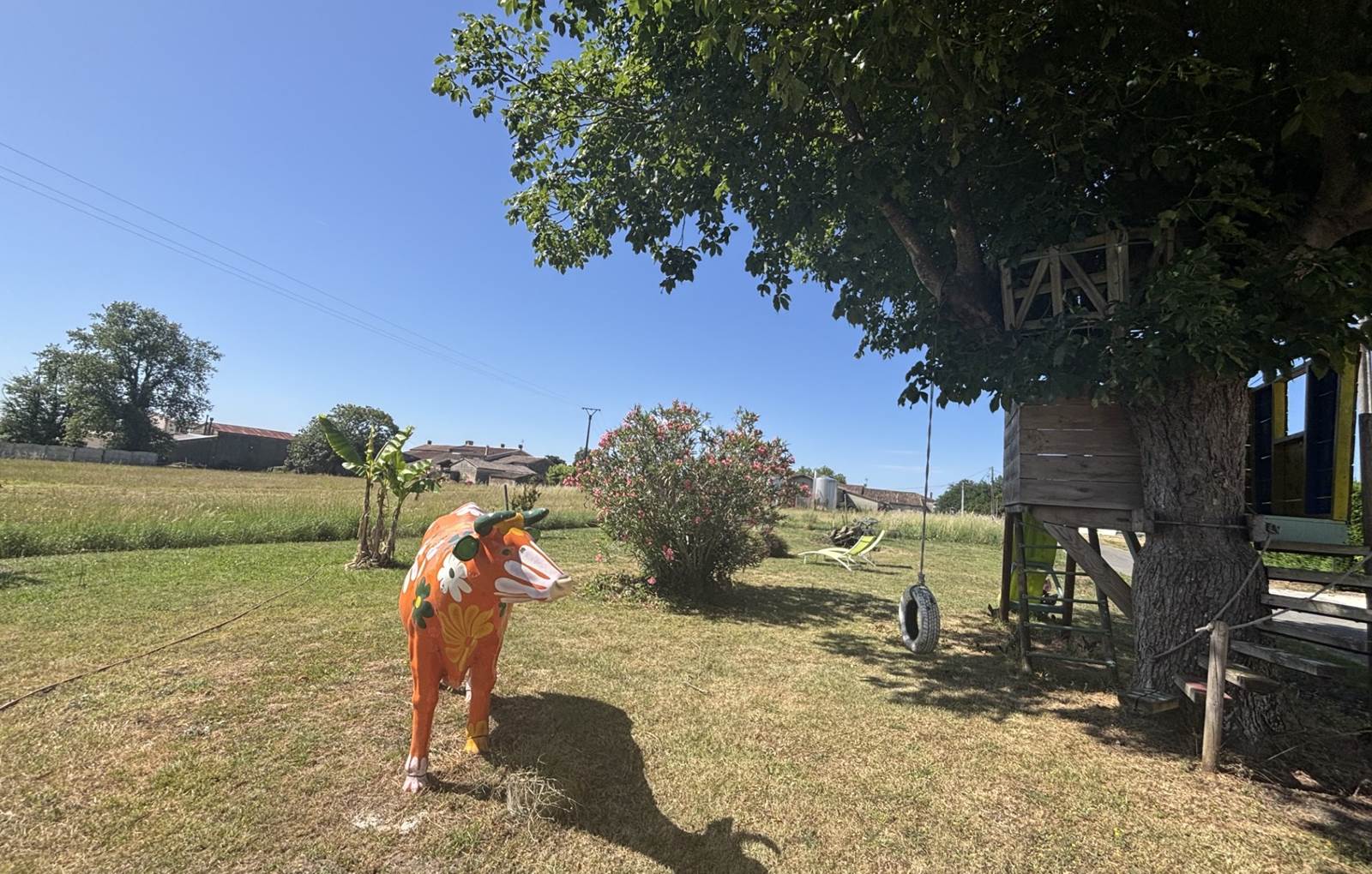 chouette vache-carousel