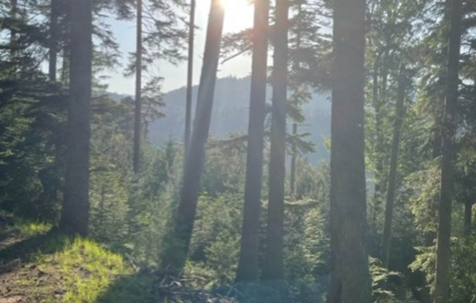 thumbnail_IMG_8881-carousel