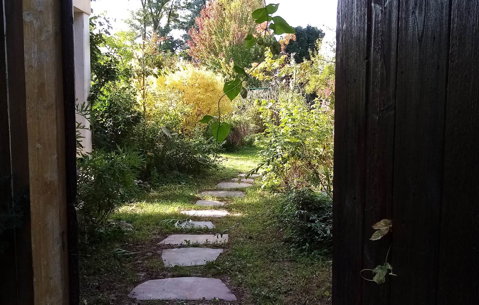 Bienvenue au jardin-carousel