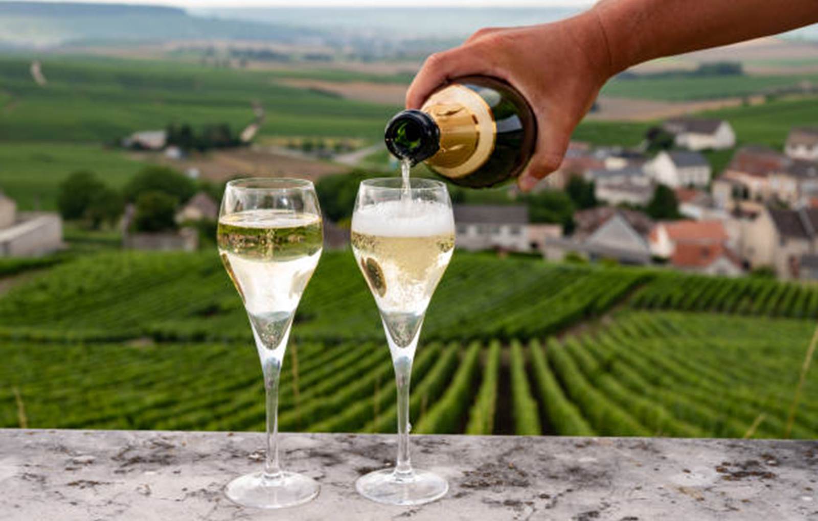 Le vignoble champenois-carousel