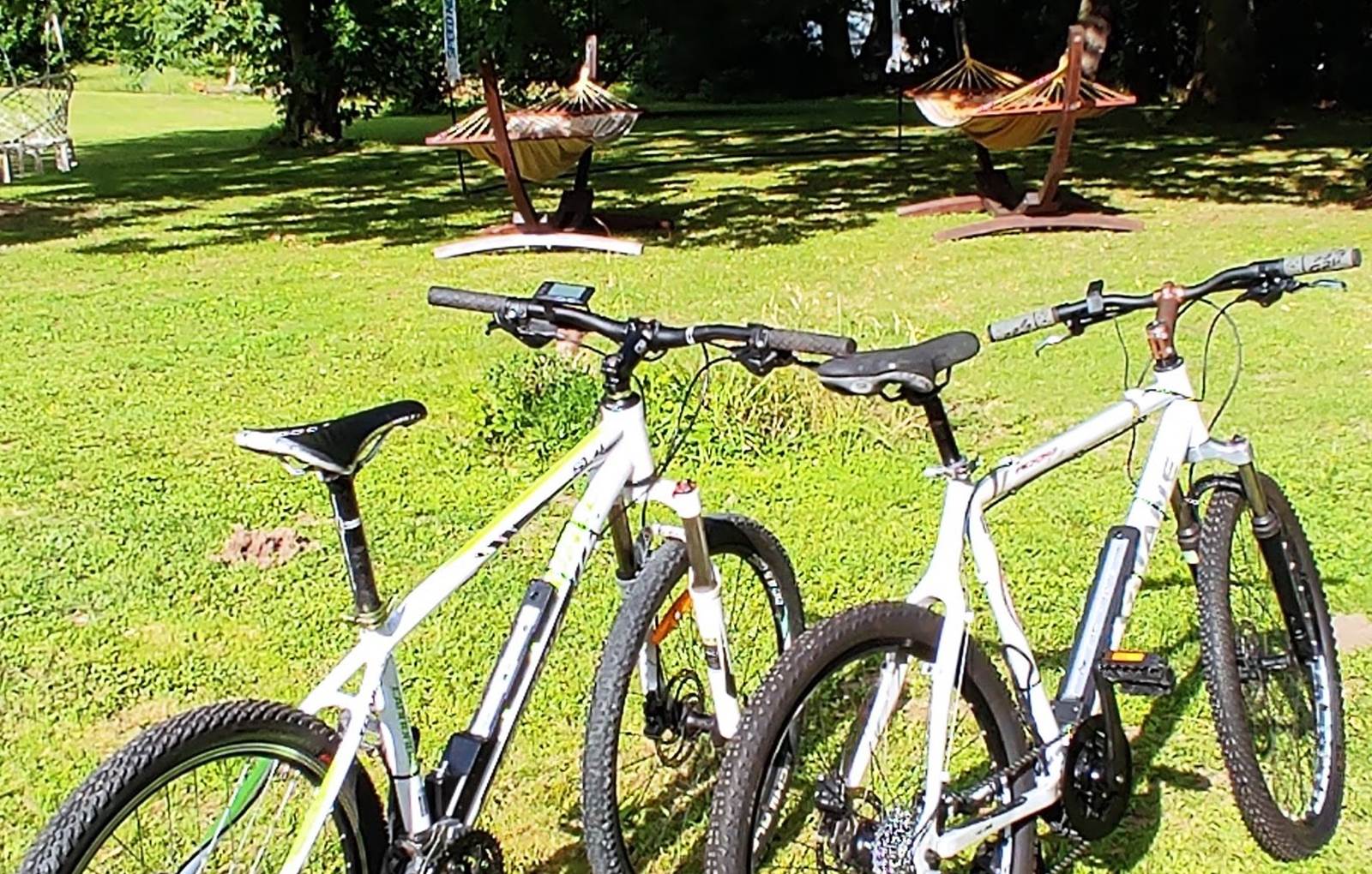 Location VTT électrique-carousel