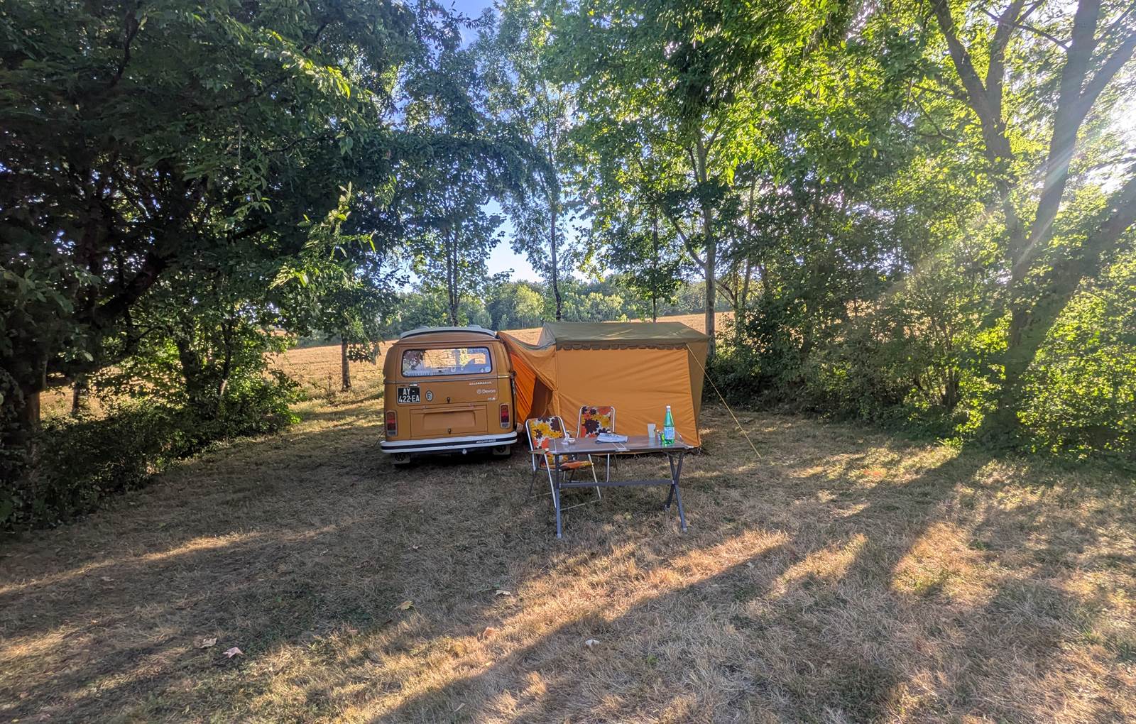 PXL_20250721_171855237.MP-carousel