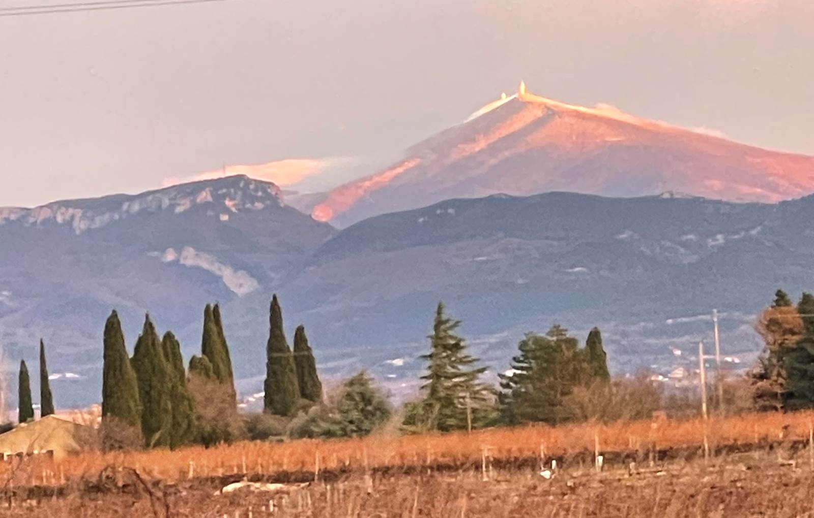 photo_1 (4)-carousel