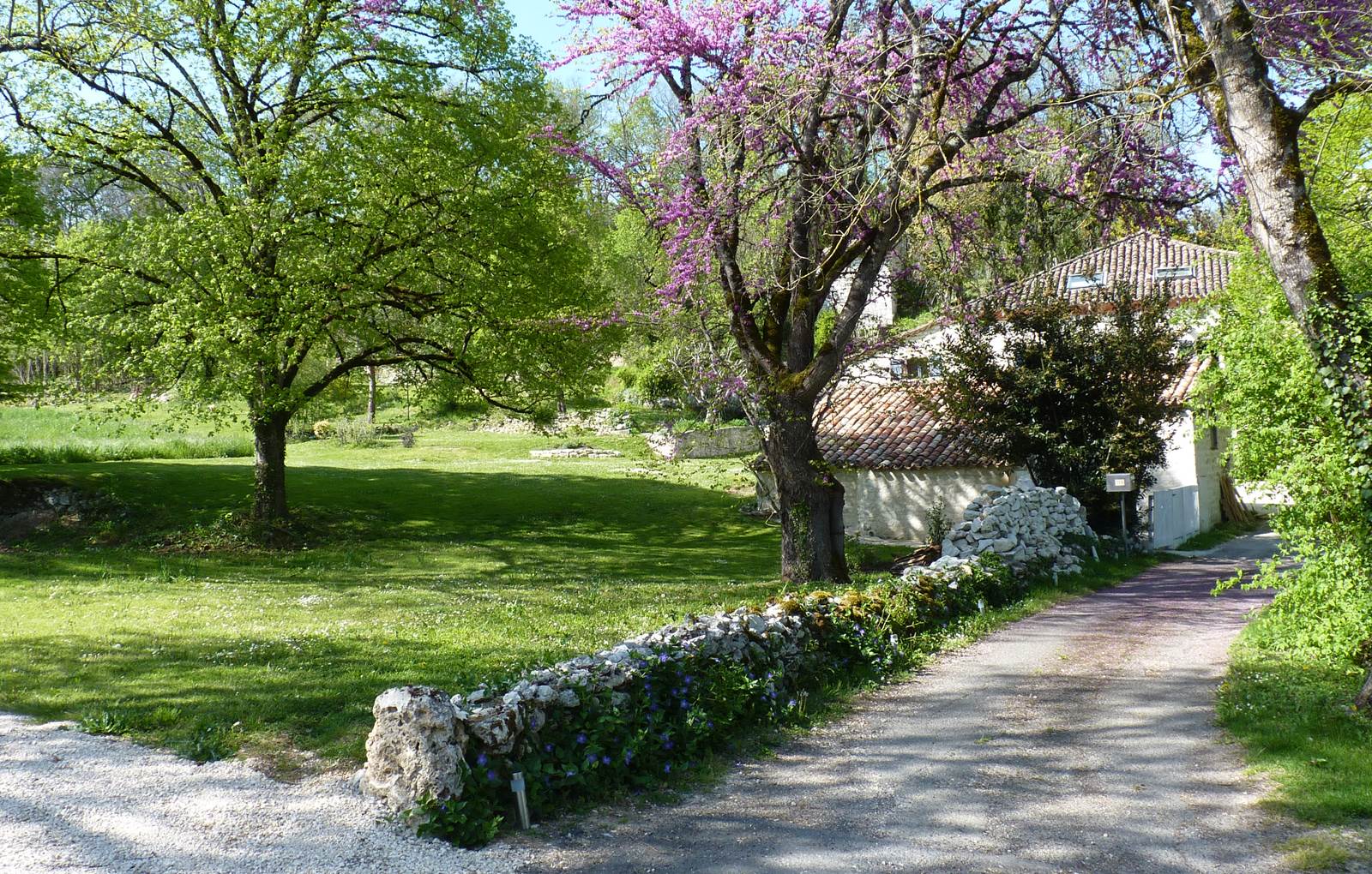 Jardin paisible pour profiter du plein air-carousel