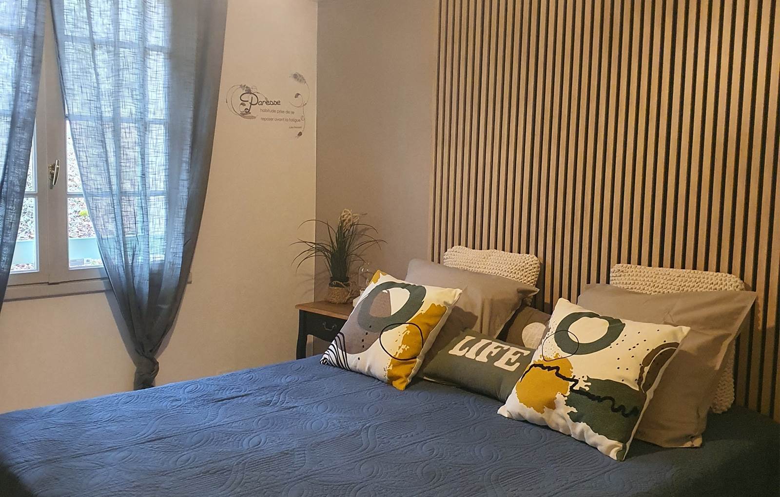 20250211_110930-carousel