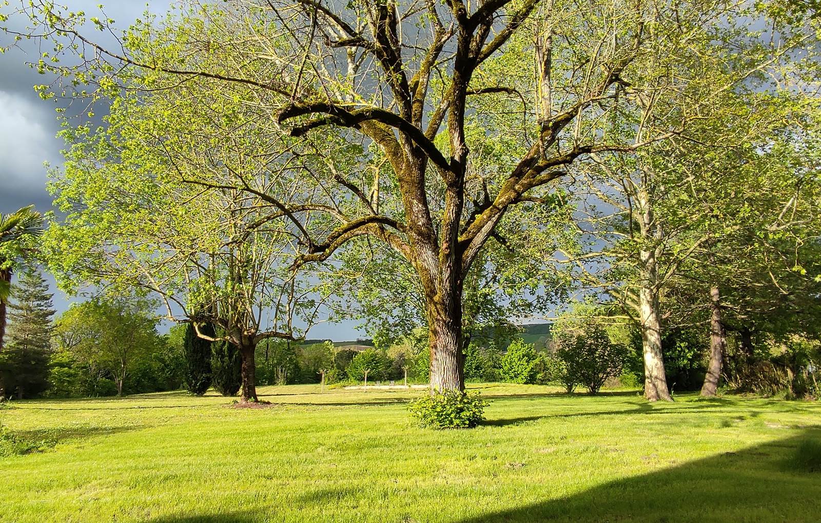 Domaine les Garrigues Le parc-carousel