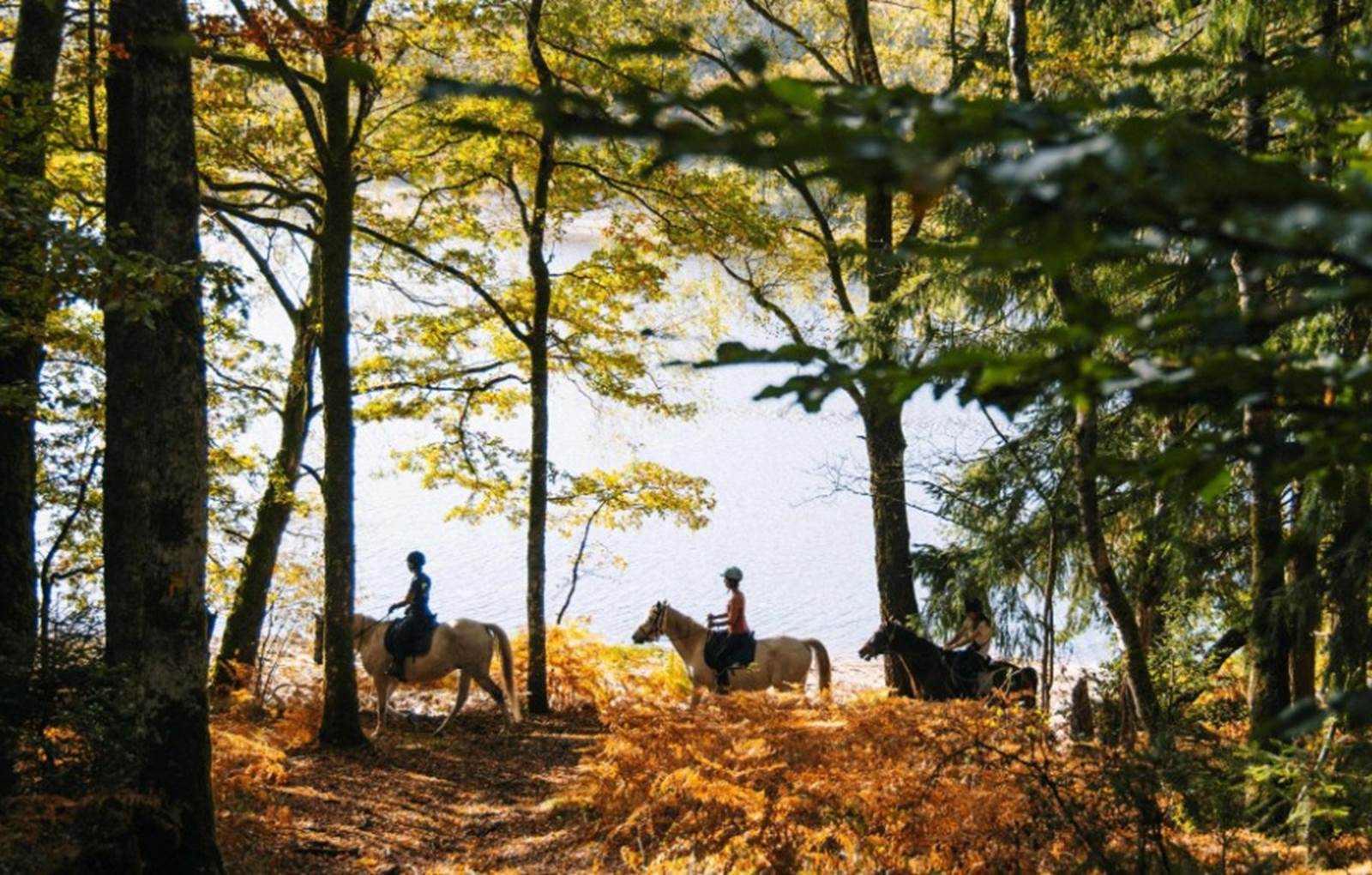 balade lac de vassiviere hiver creuse-carousel