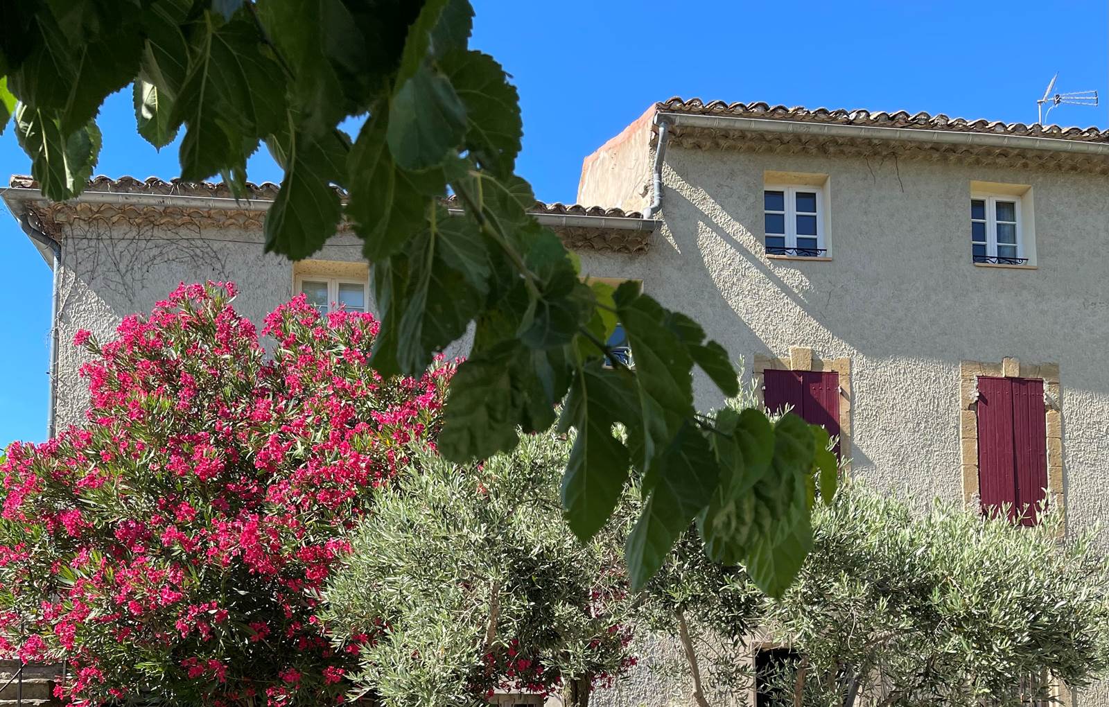 photo_1 (8)-carousel