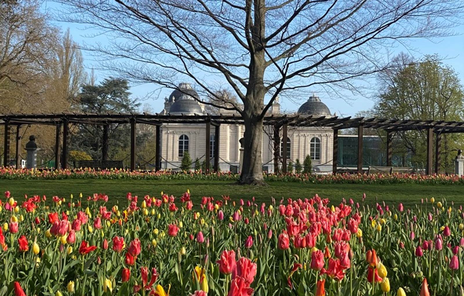 Tulipes a` la Boverie-carousel