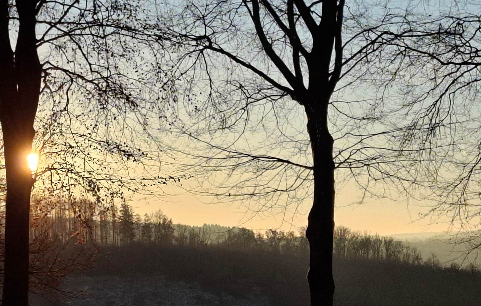 IMG-20241203-WA0013-carousel