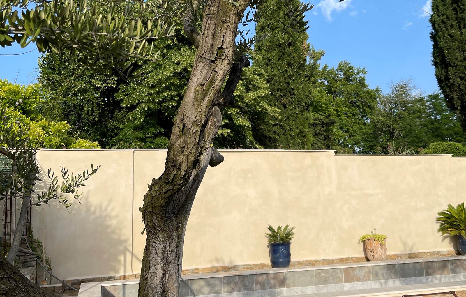 photo_2 (1)-carousel