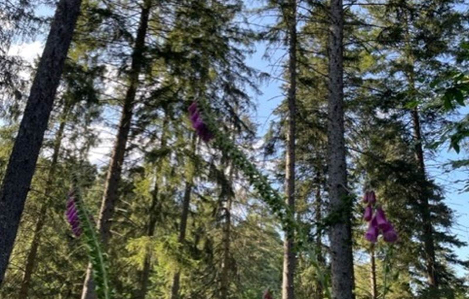 thumbnail_IMG_9245-carousel