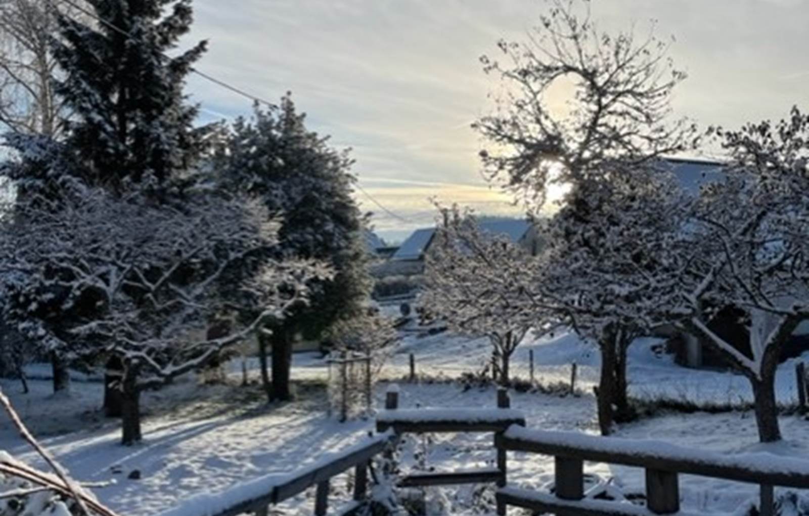 thumbnail_IMG_7205-carousel