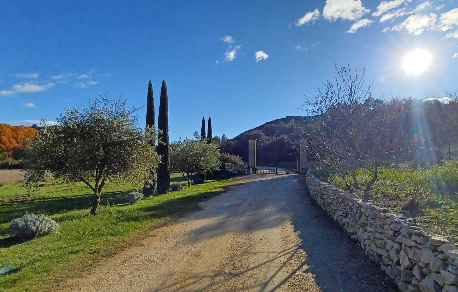 Domaine Saint Martin coté garrigue ***-carousel
