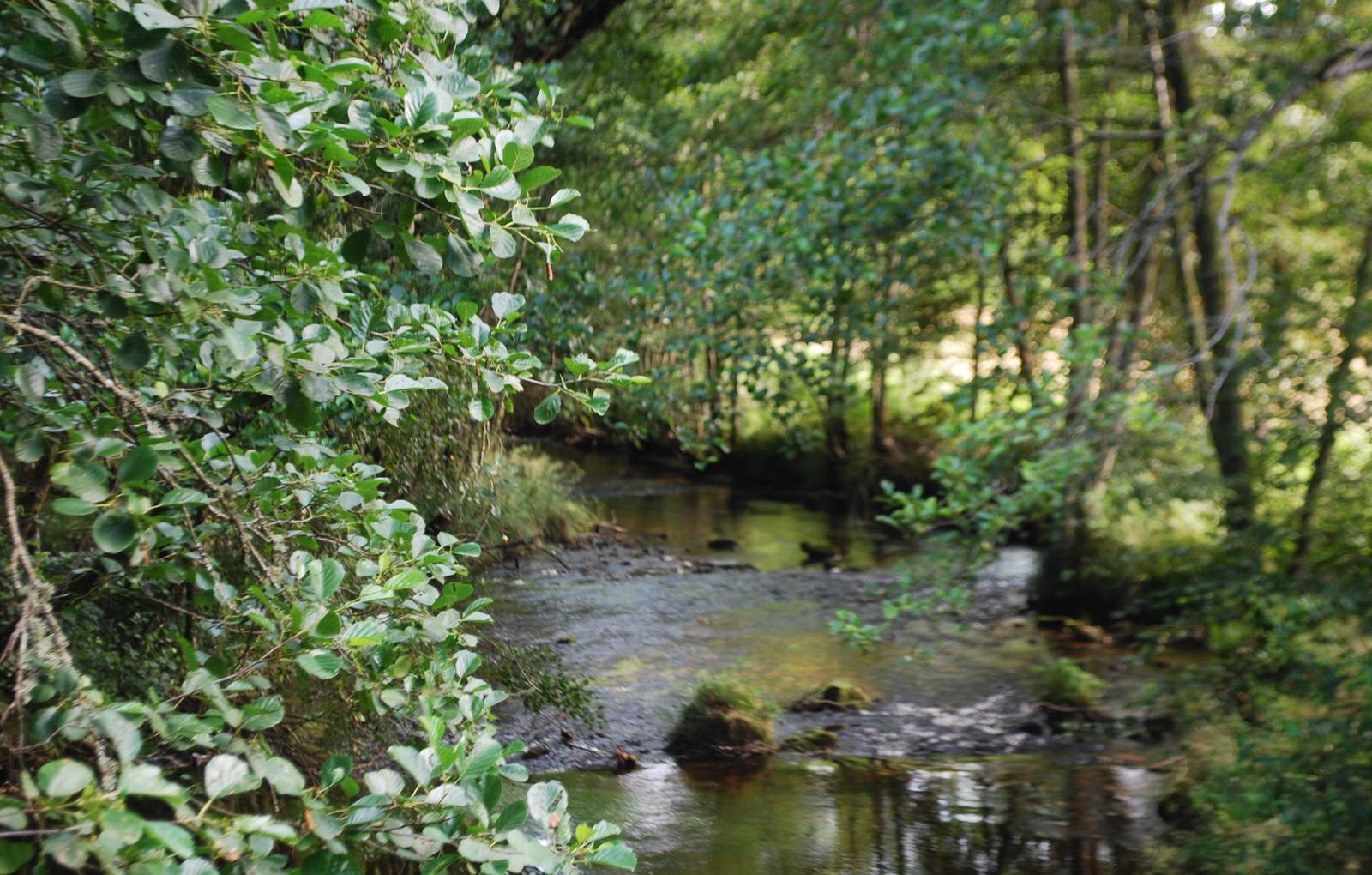 rivière en limousin La Vienne-carousel