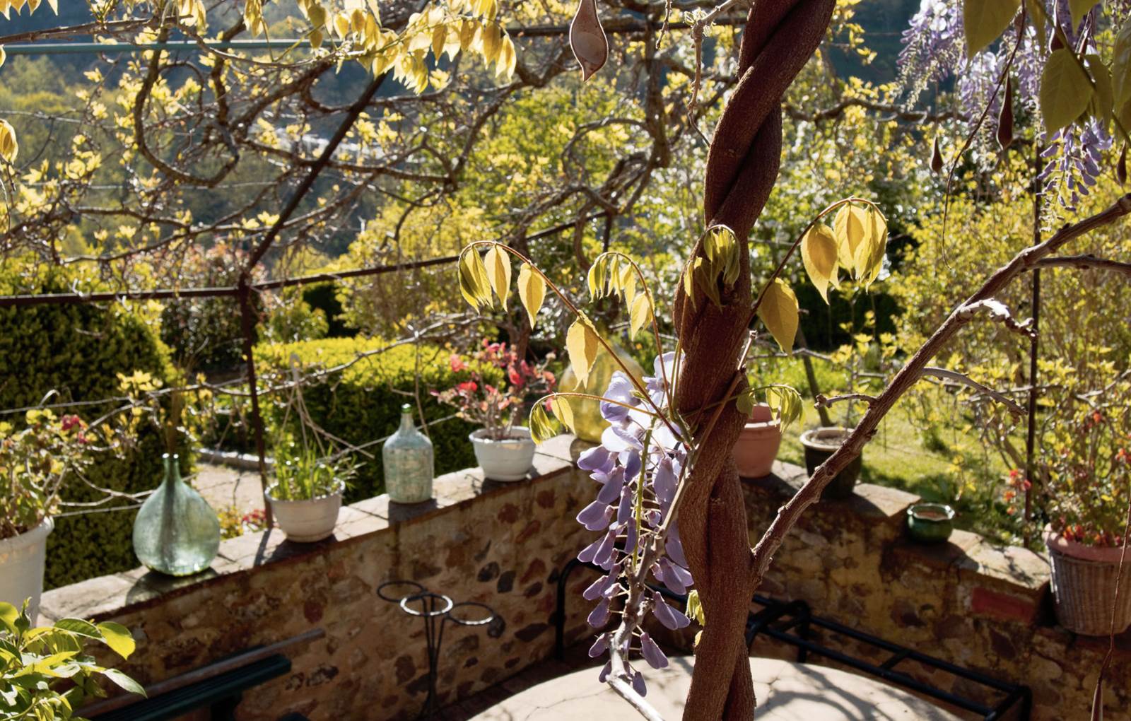 ERMITAGE SAINT-VINCENT - Sous la glycine-carousel