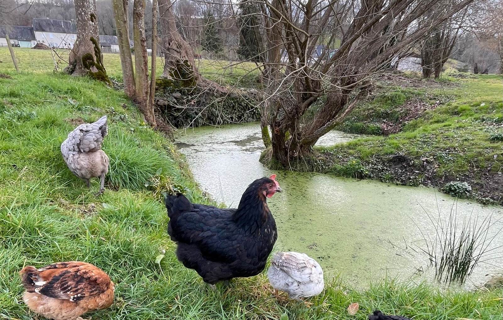 Notre joyeuse tribu-carousel
