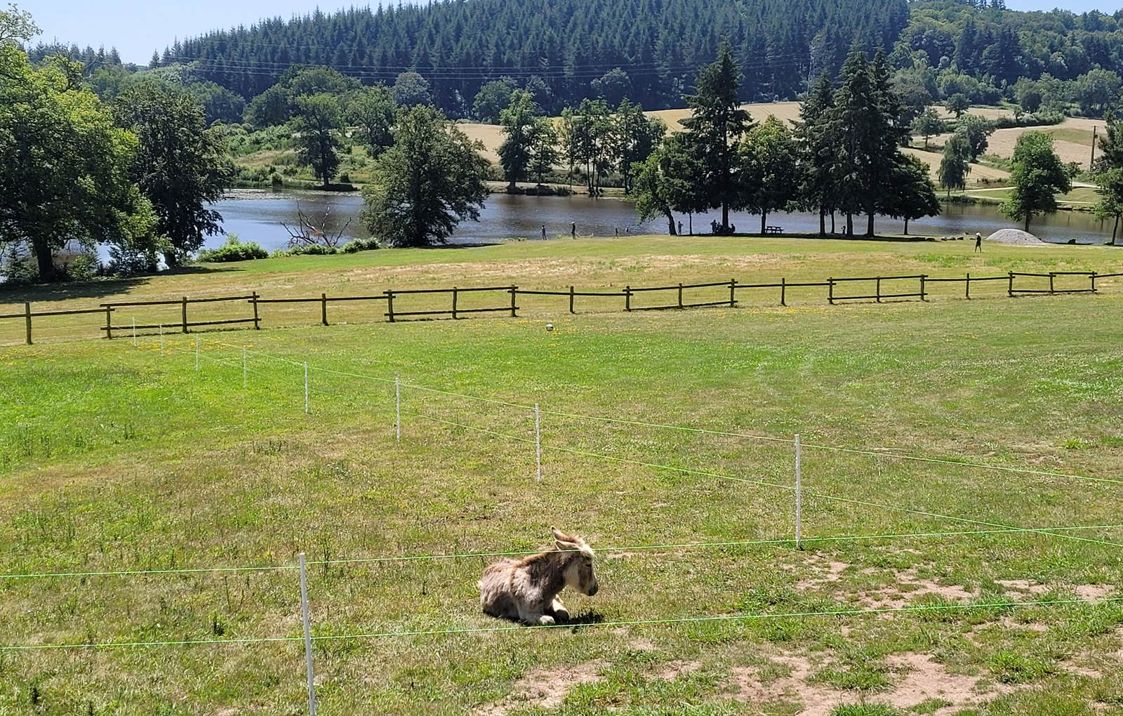 vue sur l'étang-carousel