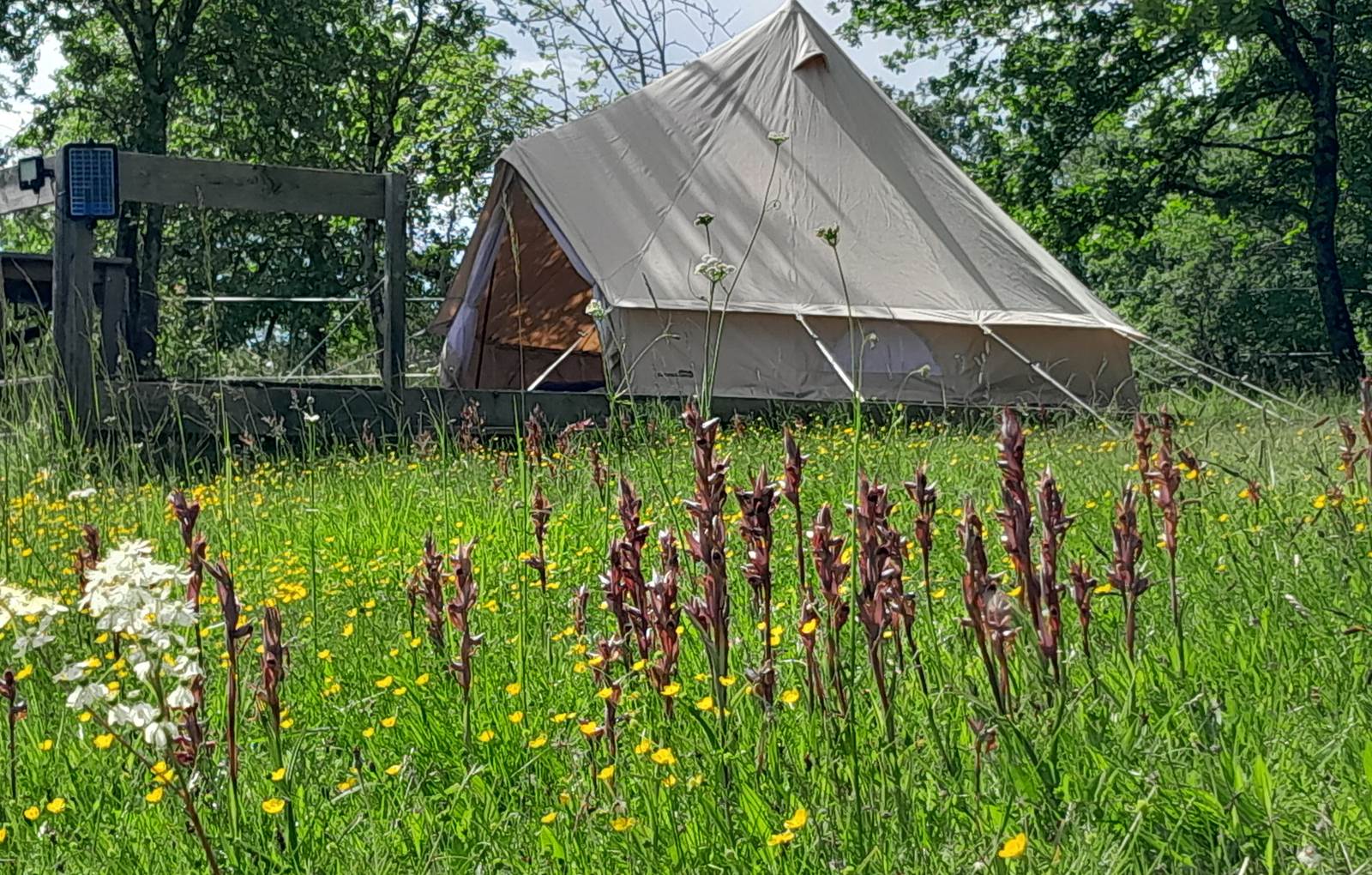 Domaine_de_Calabel©_Pouylebon_vacances_piscine_gers-carousel