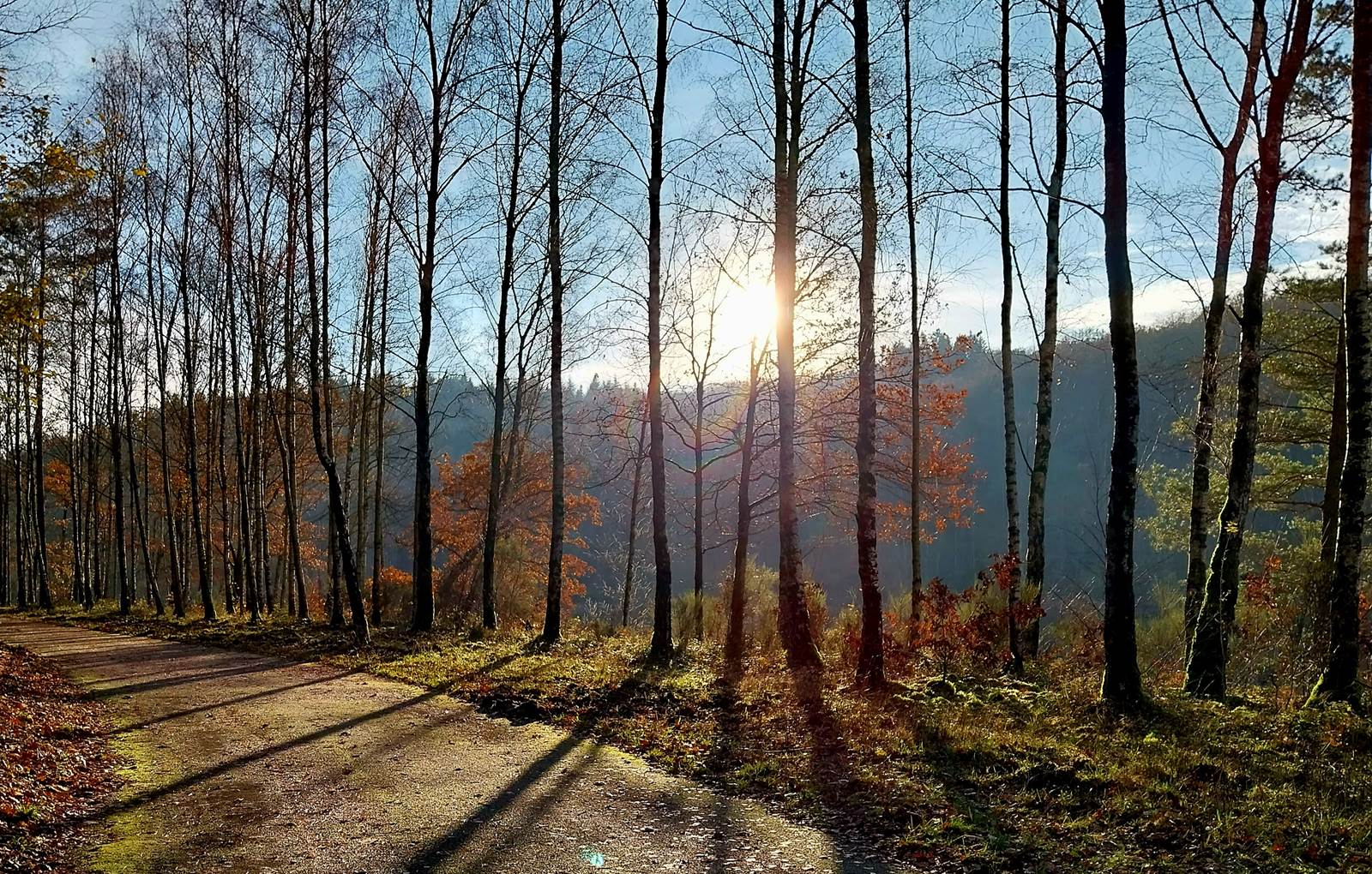 Barrage du Ry de Rome-carousel