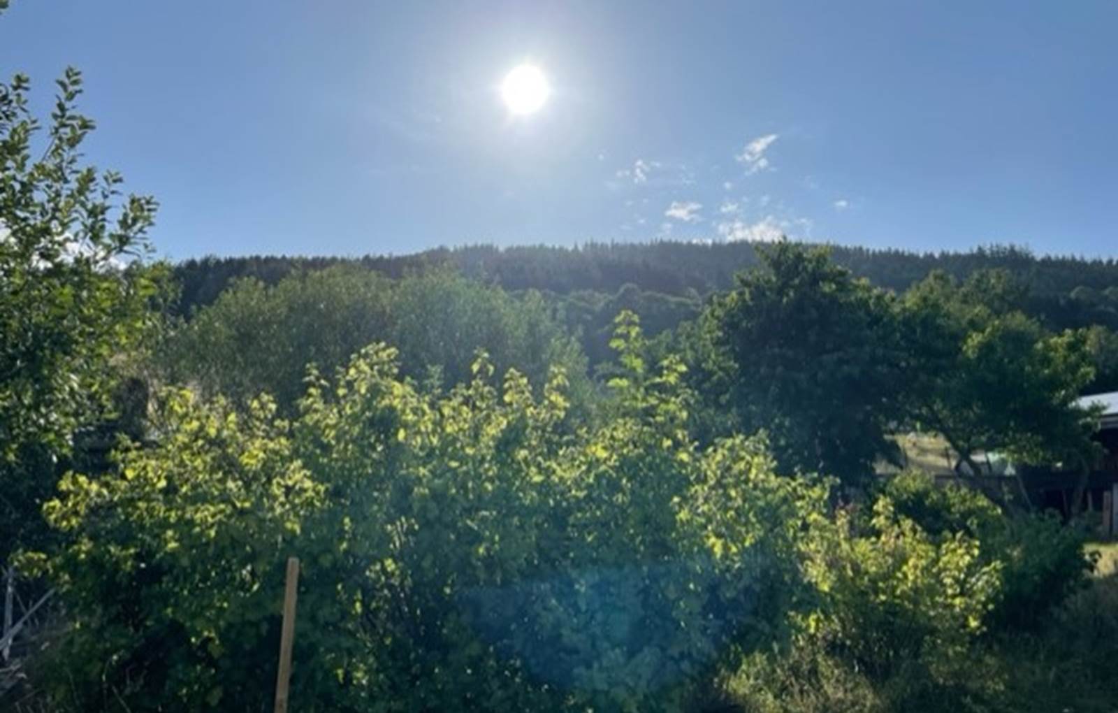 thumbnail_IMG_9273-carousel