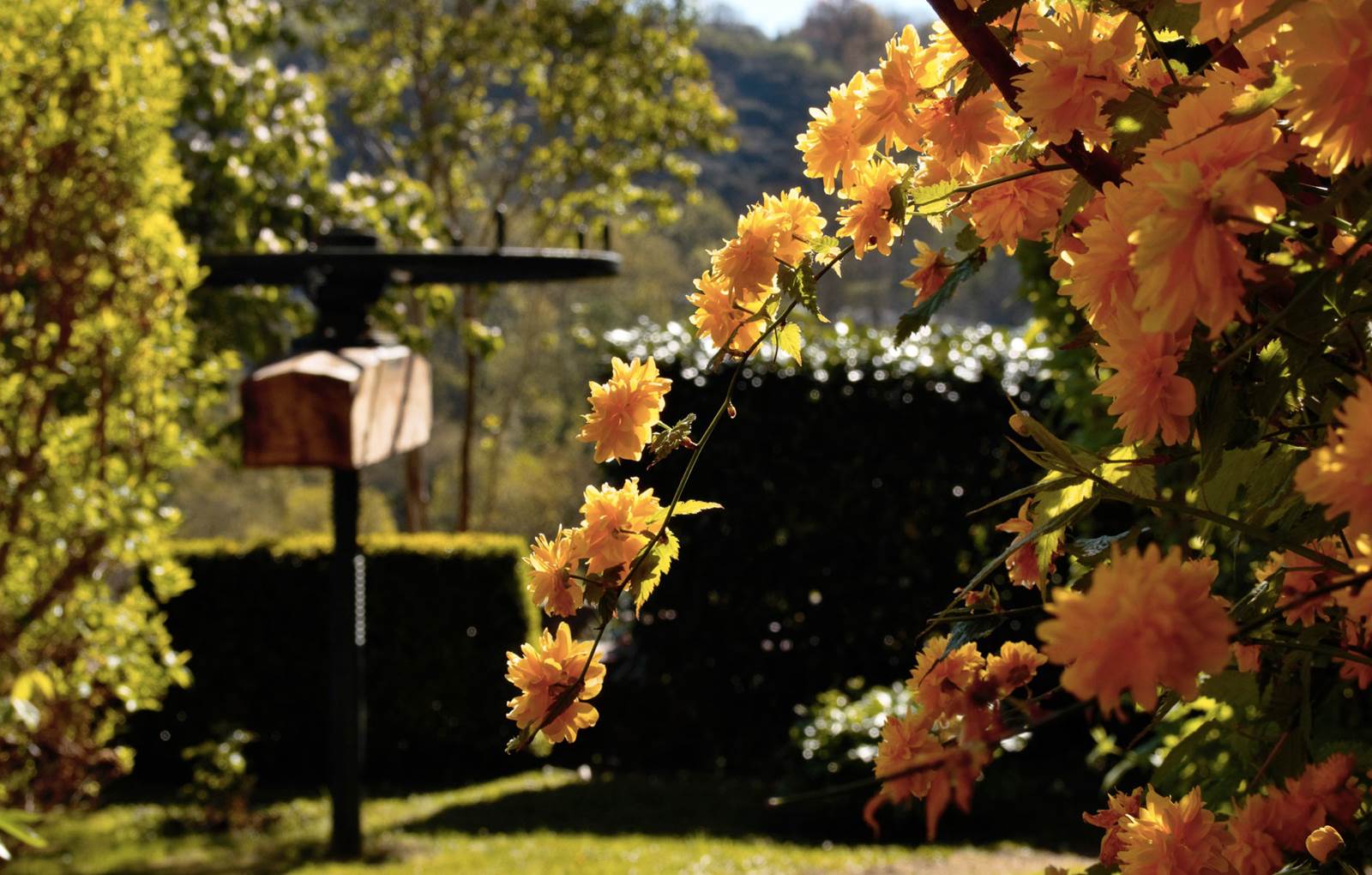 ERMITAGE SAINT-VINCENT - Pressoir et Jardin-carousel